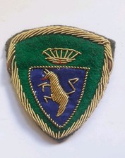 Scudetto brigata alpini usato  Italia