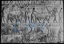 Egyptian wall carvings for sale  HAYLE