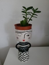 Geldbaum crassula vata gebraucht kaufen  München
