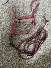 Nylon horse halter for sale  Ridgefield