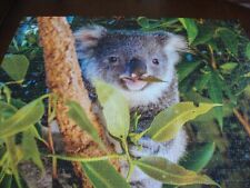 Koala australia mindbogglers for sale  BURNLEY