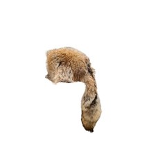 Mens coyote fur for sale  Boone