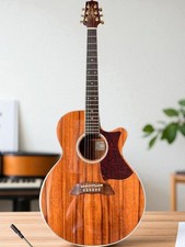 Takamine tdp 100k d'occasion  Expédié en Belgium