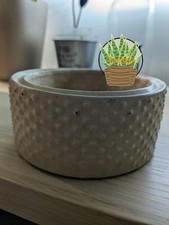 Textured concrete planter for sale  BURY ST. EDMUNDS