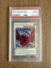 2023 black rose gebraucht kaufen  Osnabrück