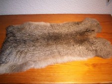 Echtfell klein kaninchen gebraucht kaufen  Pinneberg