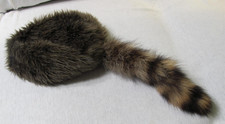 Coonskin cap davey for sale  Chardon