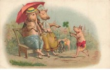 Cochon fg56243 famille d'occasion  France