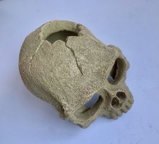 Skull ornament 15cm for sale  COVENTRY