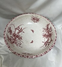 Early 1900s anemone for sale  Canon City