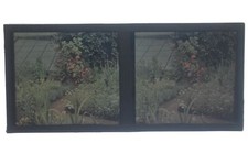 autochromes d'occasion autochromes d'occasion Expédié en Belgium