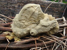Baby dragon small for sale  HORSHAM