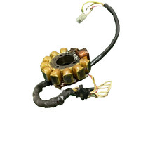 Magnete statore yamaha usato  Giugliano in Campania