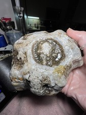 2lb 13oz agate for sale  Minneapolis
