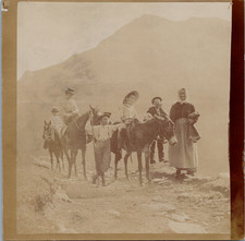 Pyrénées gavarnie famille d'occasion  Pagny-sur-Moselle