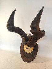 Kuhantilope kudu antilope gebraucht kaufen  Grünhainichen