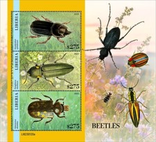 2023 liberia beetles d'occasion  Brunoy