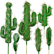 Piante succulente artificiali usato  Roma