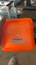 discus fish for sale  LONDON