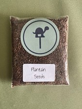 Ribwort plantain seeds for sale  LEEDS