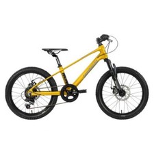 Mountain bike lombardo usato  Italia