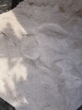 live fleas for sale live fleas for sale NOTTINGHAM