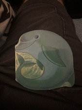 Pocket pal dolphin for sale  Sylacauga