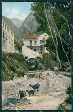Salerno amalfi capre usato  Gambolo