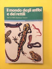 Degli anfibi dei usato  Montevarchi