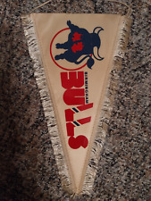 Alter eishockey wimpel gebraucht kaufen  Kamenz-Umland
