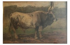 Giuseppe raggio toro usato  Roma