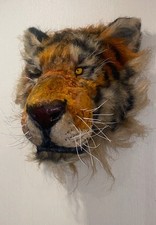 Faux tiger head for sale  HINCKLEY