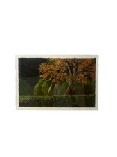 David berridge original for sale  Nolensville