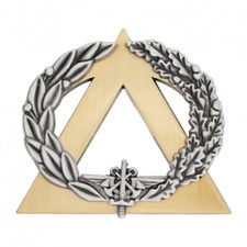 Patent badge military d'occasion  Expédié en Belgium