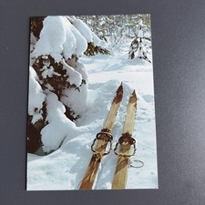 Norway. old skis d'occasion  Expédié en Belgium