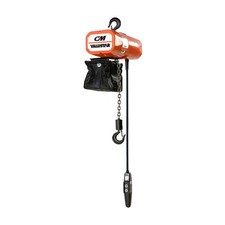 Electric hain hoist for sale  Appleton