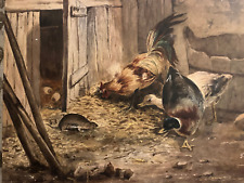 Basse cour coq d'occasion  Auzances