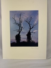 Patricia mcgrady photography for sale  Niles