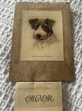 wire fox terrier for sale  SCUNTHORPE