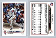David bote cubs for sale  SLEAFORD