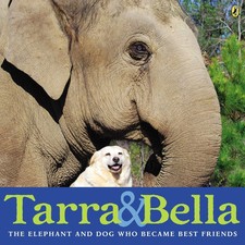 Tarra bella elephant for sale  Interlochen