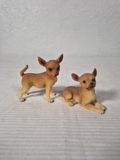 Tan chihuahua puppy for sale  Columbia