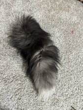 Purse tail coyote for sale  Marion