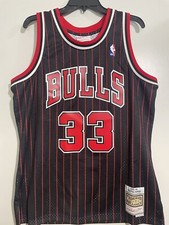Scottie pippin jersey for sale  Ruskin