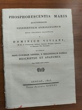 Domenico viviani phosphorescen usato  Italia