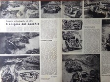 Articolo del 1938 usato  Enna