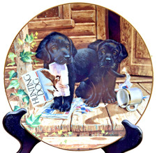 Labrador retriever cabin for sale  Great Neck