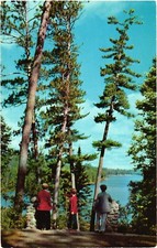 Minnesota lake itasca for sale  Lakewood