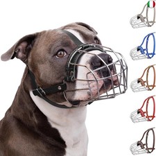Bronzedog pitbull museruola usato  Settimo Milanese