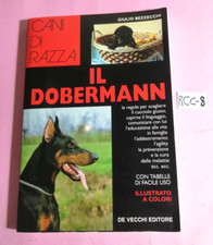 Cani razza dobermann usato  Paterno